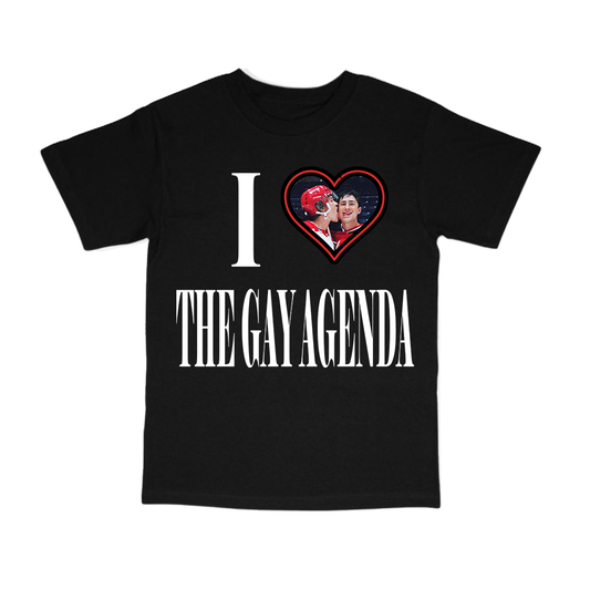 THE GAY AGENDA SHIRT